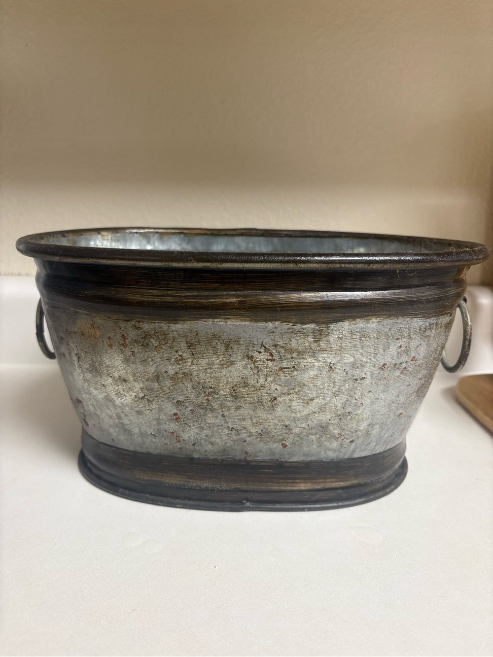 Galvanized Metal Oval Planter with Bronze Accents